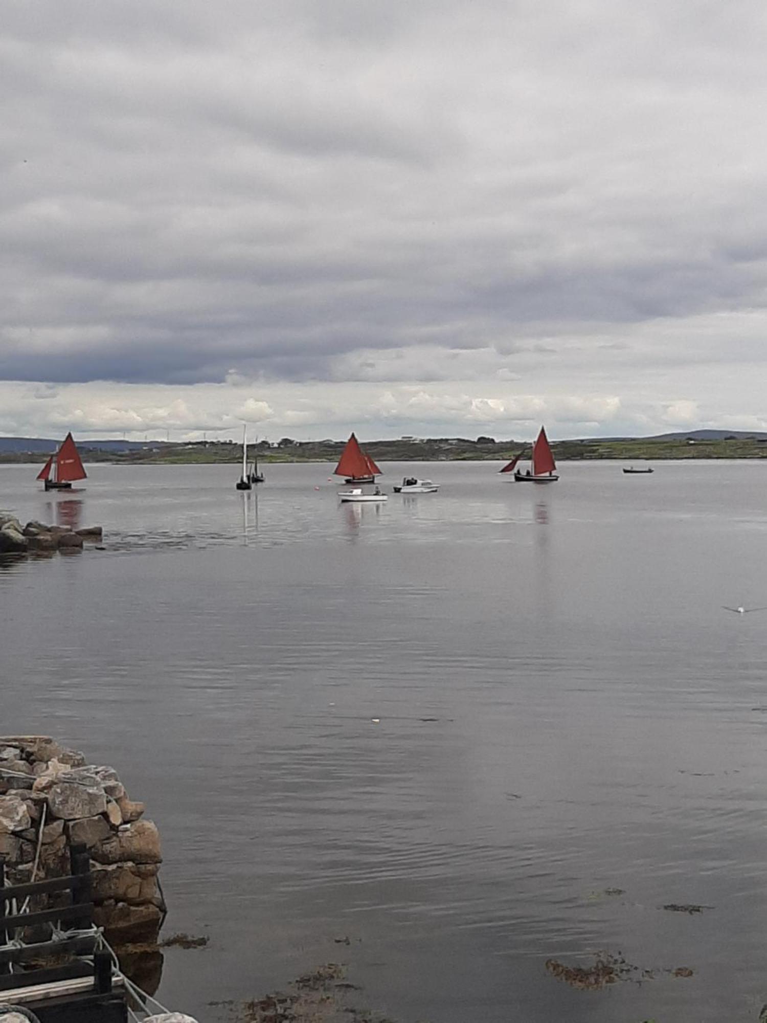 The Haven Lägenhet Galway Exteriör bild